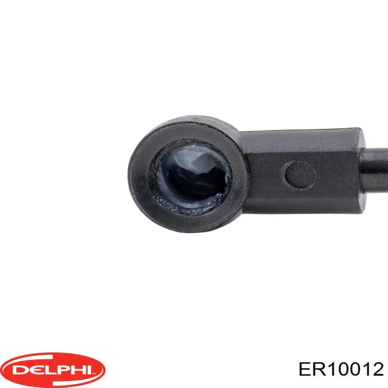 Купити ER10012 Delphi 