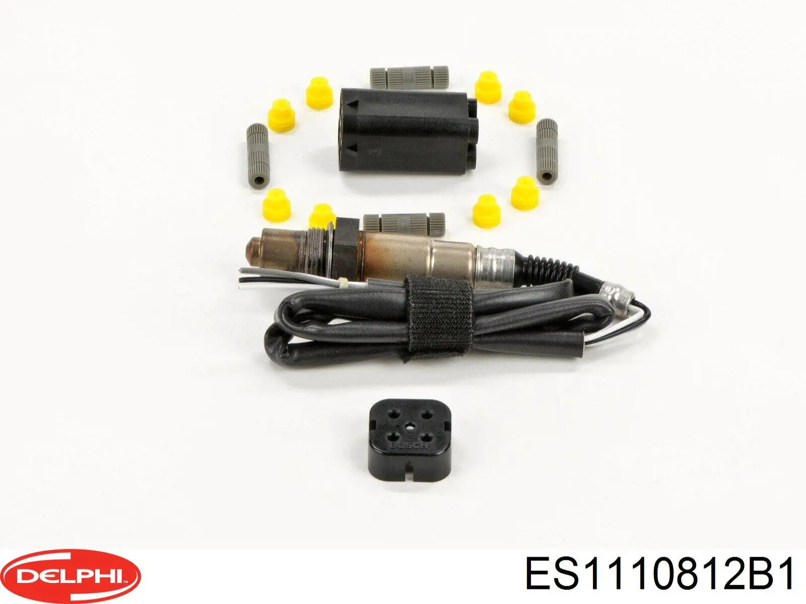  Delphi ES1110812B1