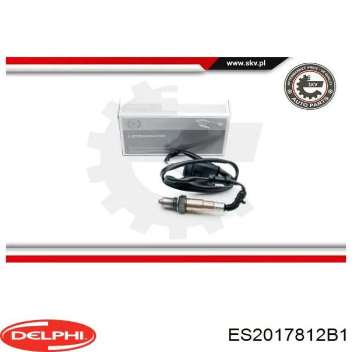  Delphi ES2017812B1 ціна, від 51.42 USD
