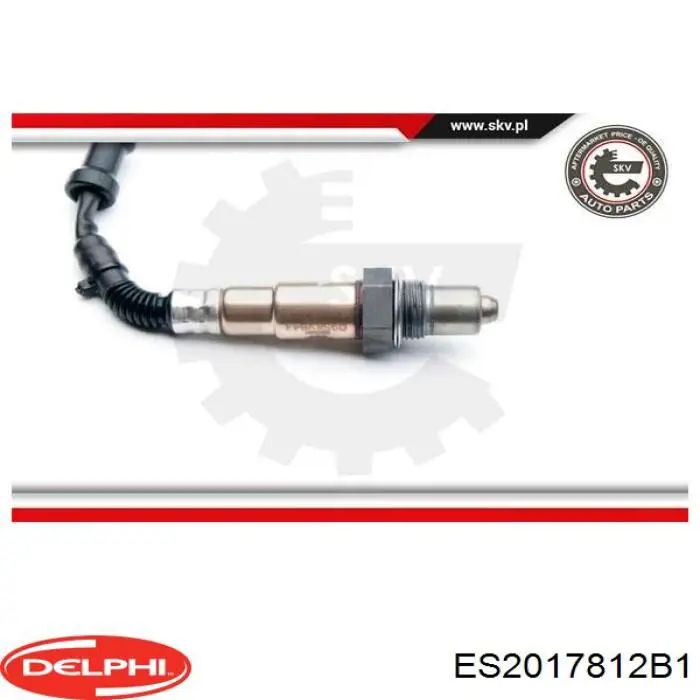 Купити ES2017812B1 Delphi 