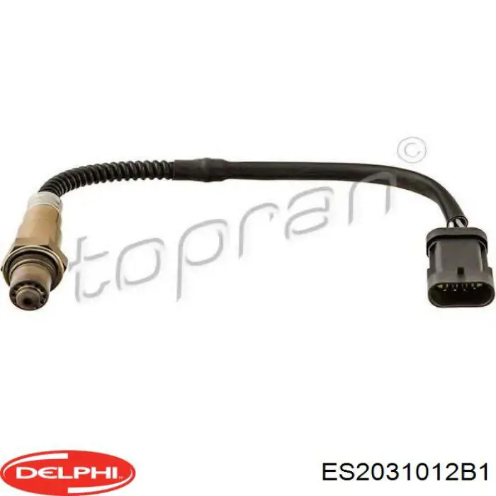 ES2031012B1 Delphi Лямбда зонд після каталізатора