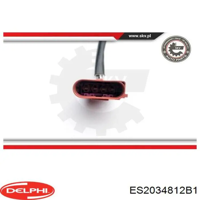 ES2034812B1 Delphi