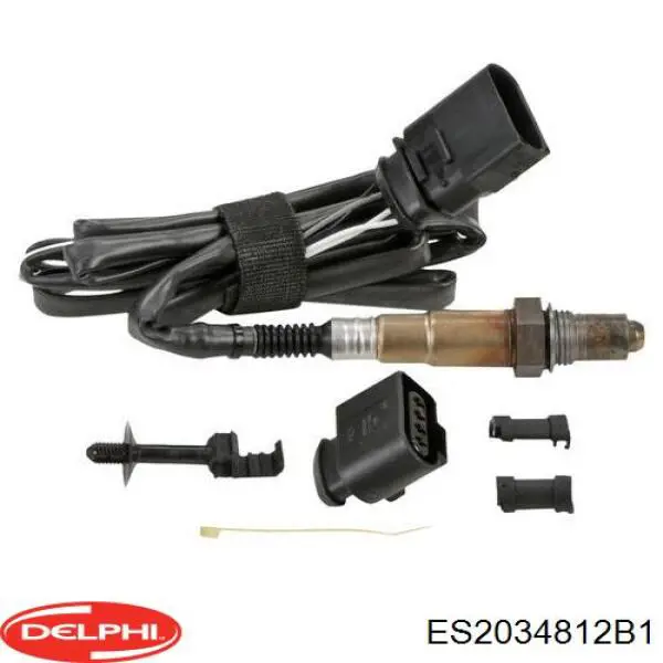 ES2034812B1 Delphi 