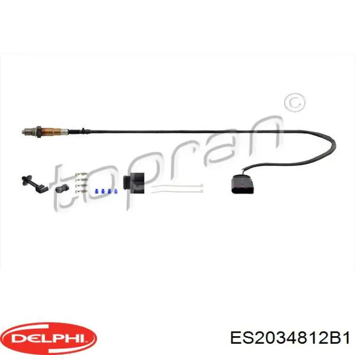  Delphi ES2034812B1 ціна, від 58.12 USD