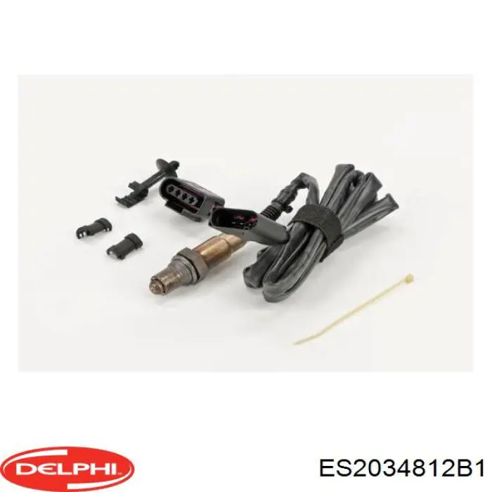 Купити ES2034812B1 Delphi 
