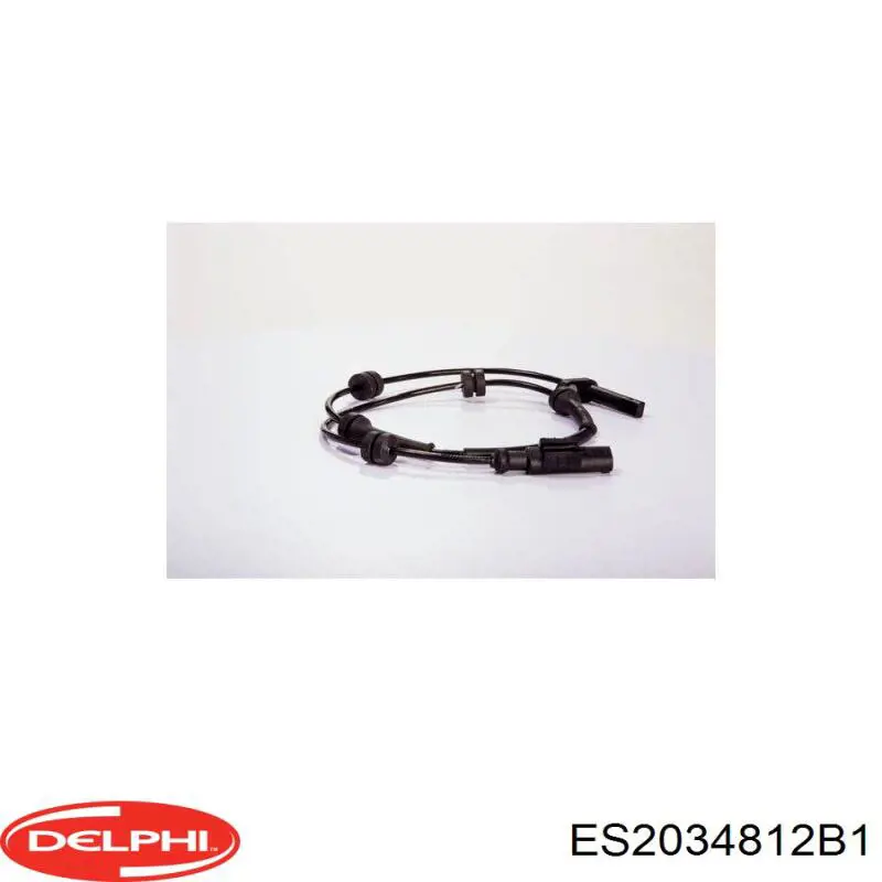  Delphi ES2034812B1