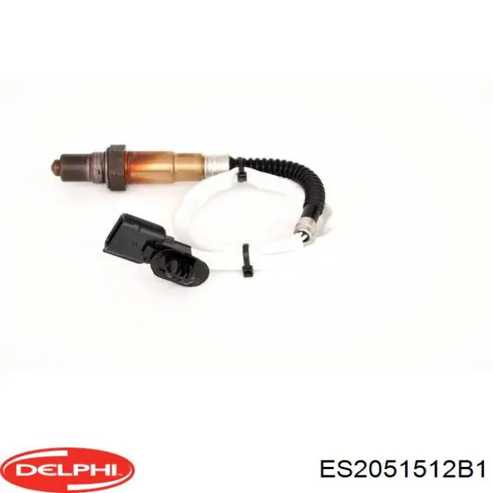 ES2051512B1 Delphi 