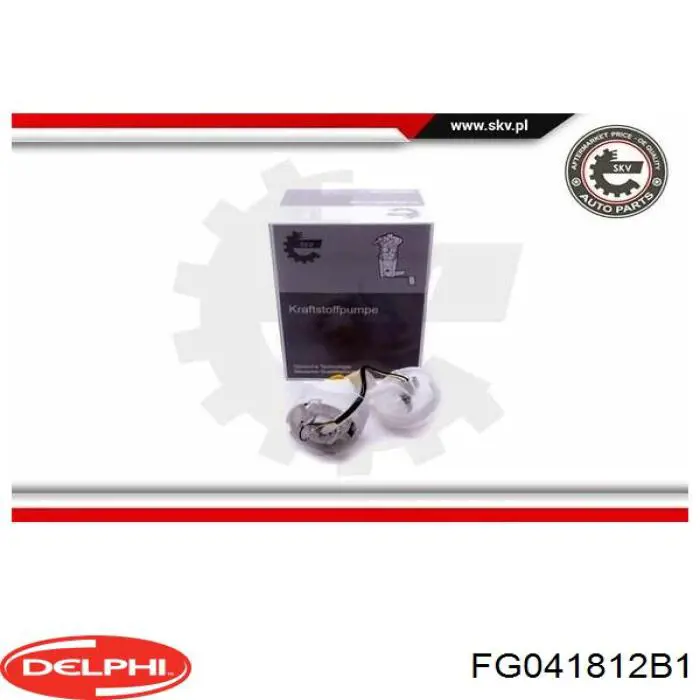 Купити FG041812B1 Delphi Насос занурювальний в баці