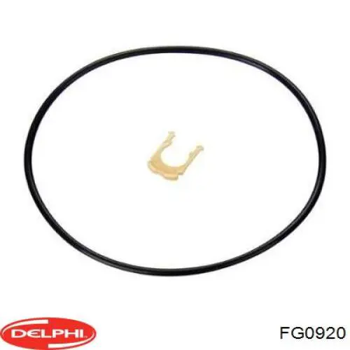 Купити FG0920 Delphi Насос занурювальний в баці