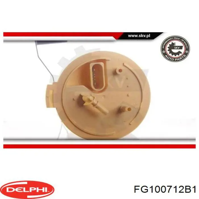 Бензонасос FG100712B1 Delphi