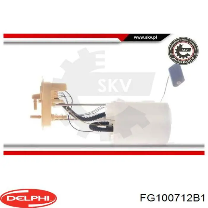 Купити FG100712B1 Delphi Насос занурювальний в баці
