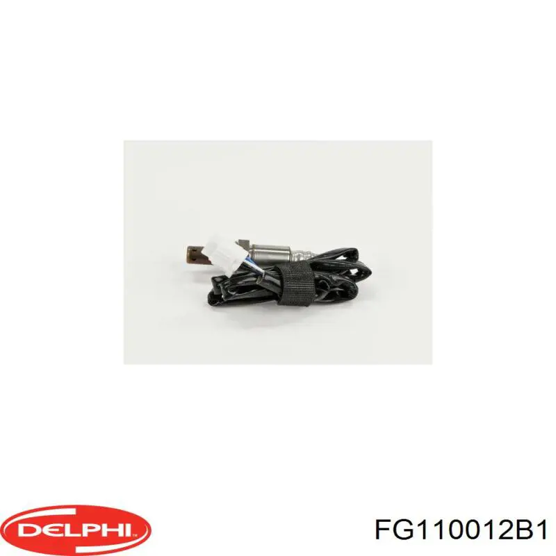 Купити FG110012B1 Delphi Насос занурювальний в баці