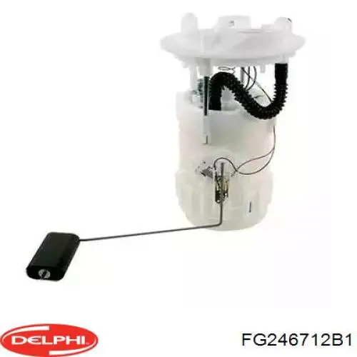 FG246712B1 Delphi Електробензонасос