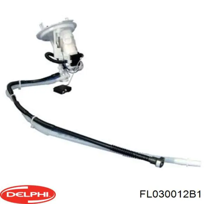 FL030012B1 Delphi Електробензонасос
