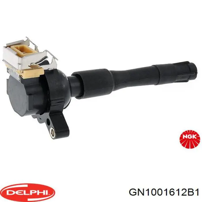 Купити GN1001612B1 Delphi Котушка запалювання
