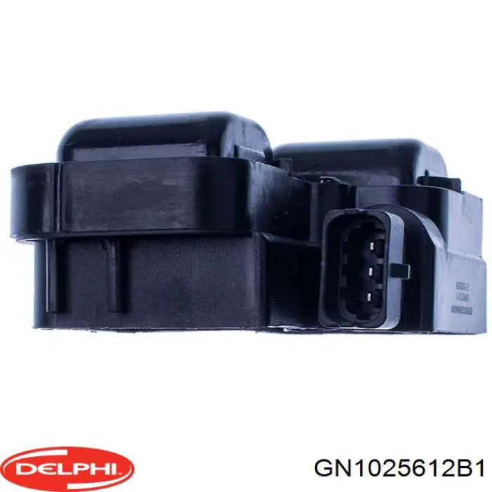 Купити GN1025612B1 Delphi Котушка запалювання
