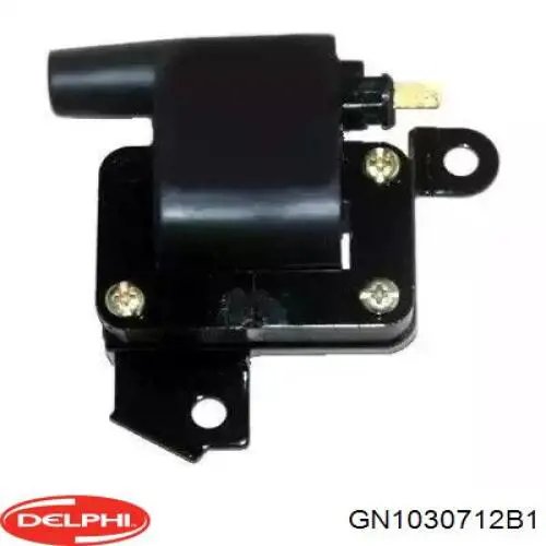 Купити GN1030712B1 Delphi Котушка запалювання