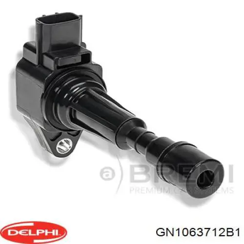Купити GN1063712B1 Delphi Котушка запалювання