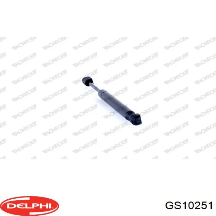 Амортизатор двері задньої Delphi GS10251 ціна, від 7.14 USD