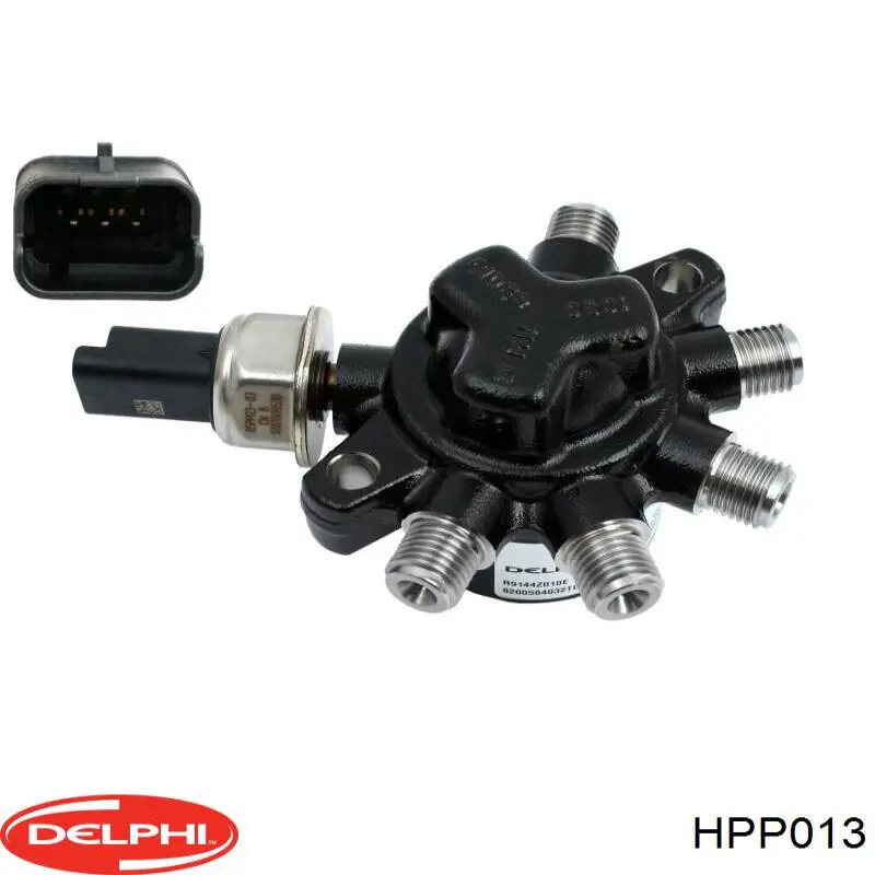  HPP013 Delphi