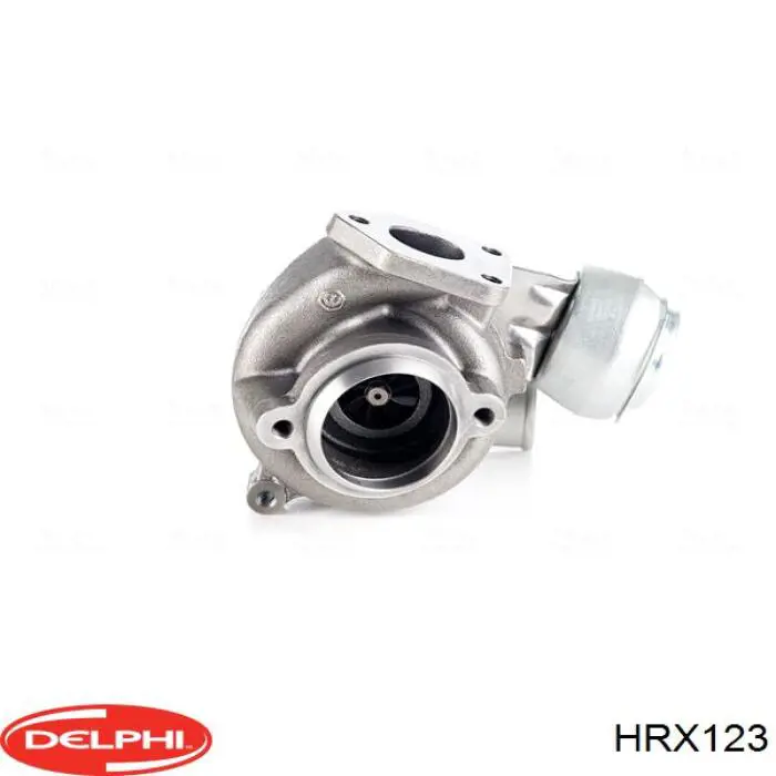  HRX123 Delphi