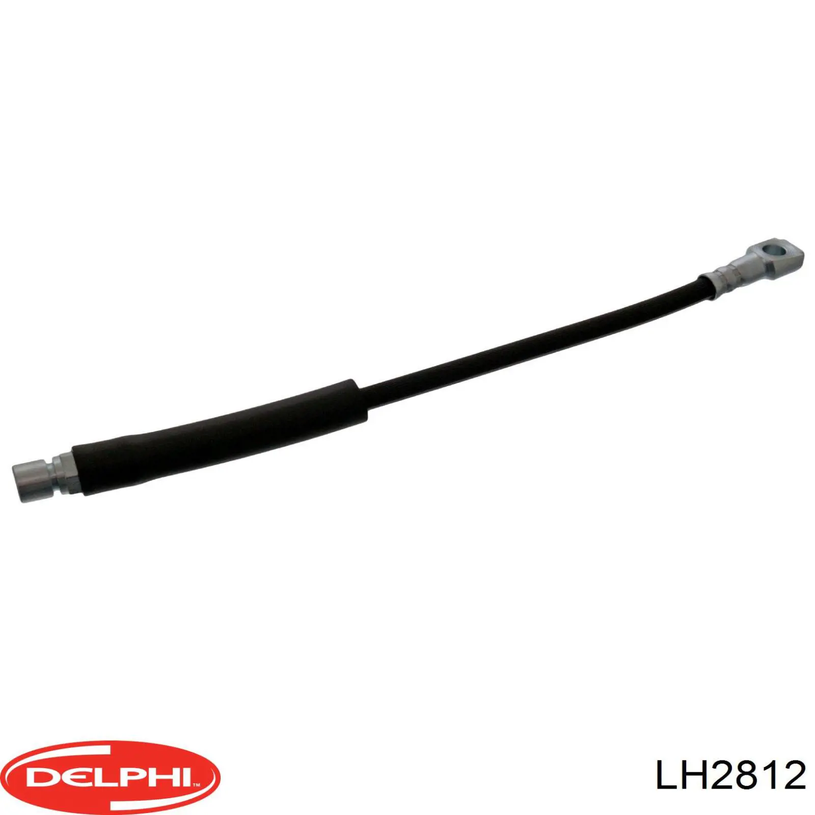 Шланг гальмівний передній Delphi LH2812 ціна, від 6.84 USD