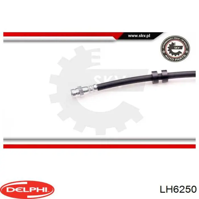 Купити LH6250 Delphi Гальмівні шланги передні