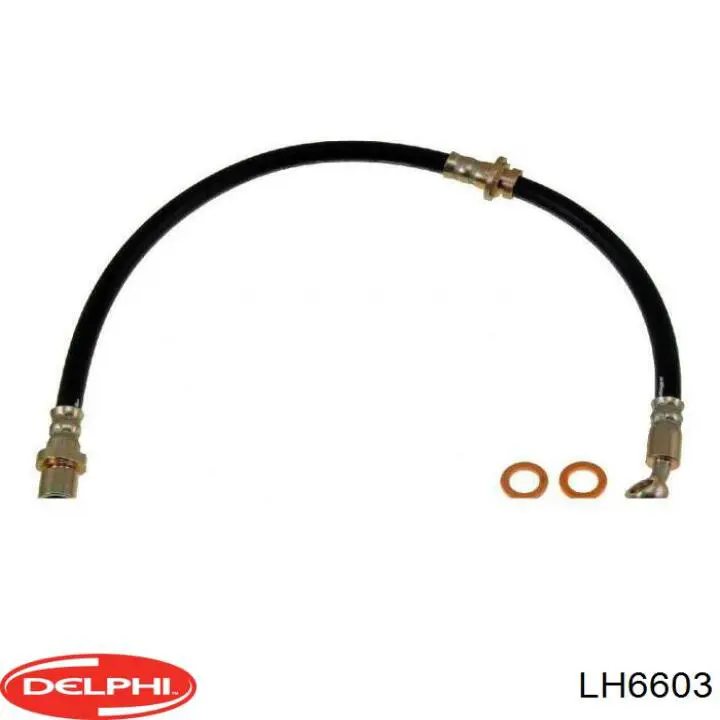  LH6603 Delphi