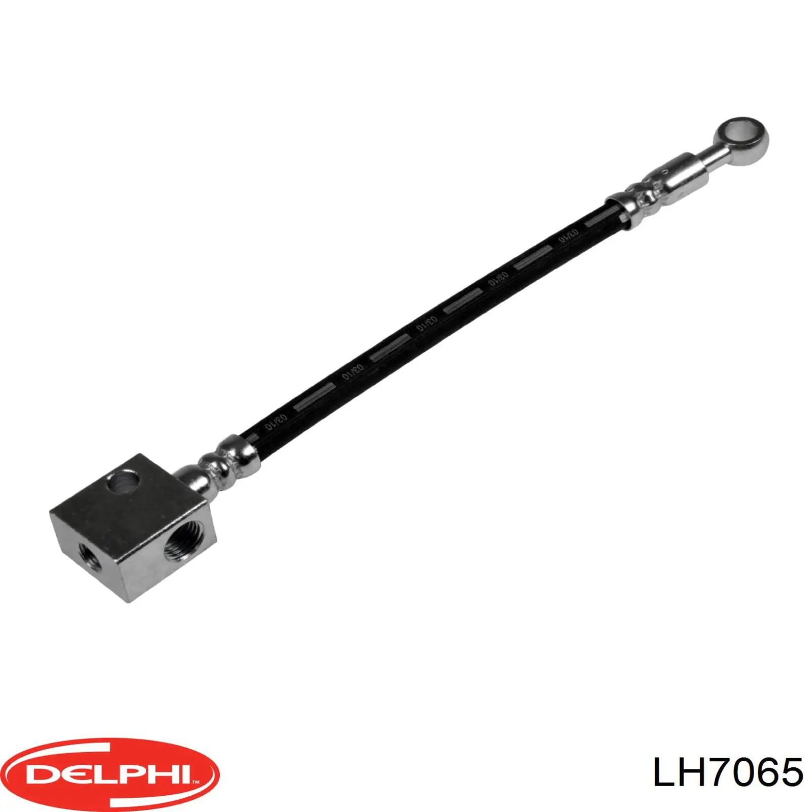 Купити LH7065 Delphi 