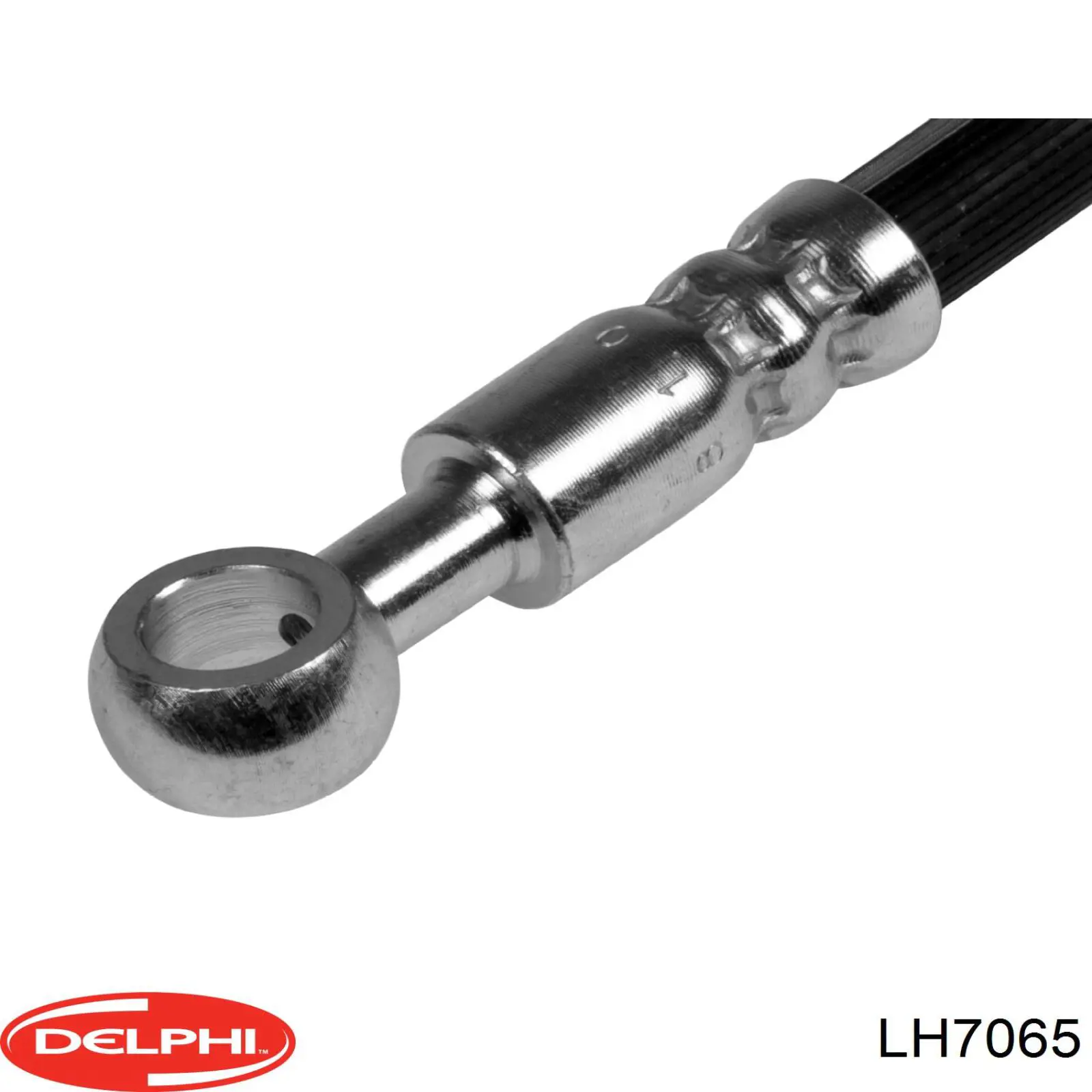  LH7065 Delphi