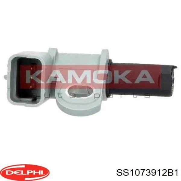 Купити SS1073912B1 Delphi ДПРВ