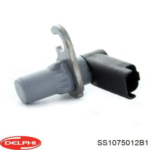 SS1075012B1 Delphi ДПКВ