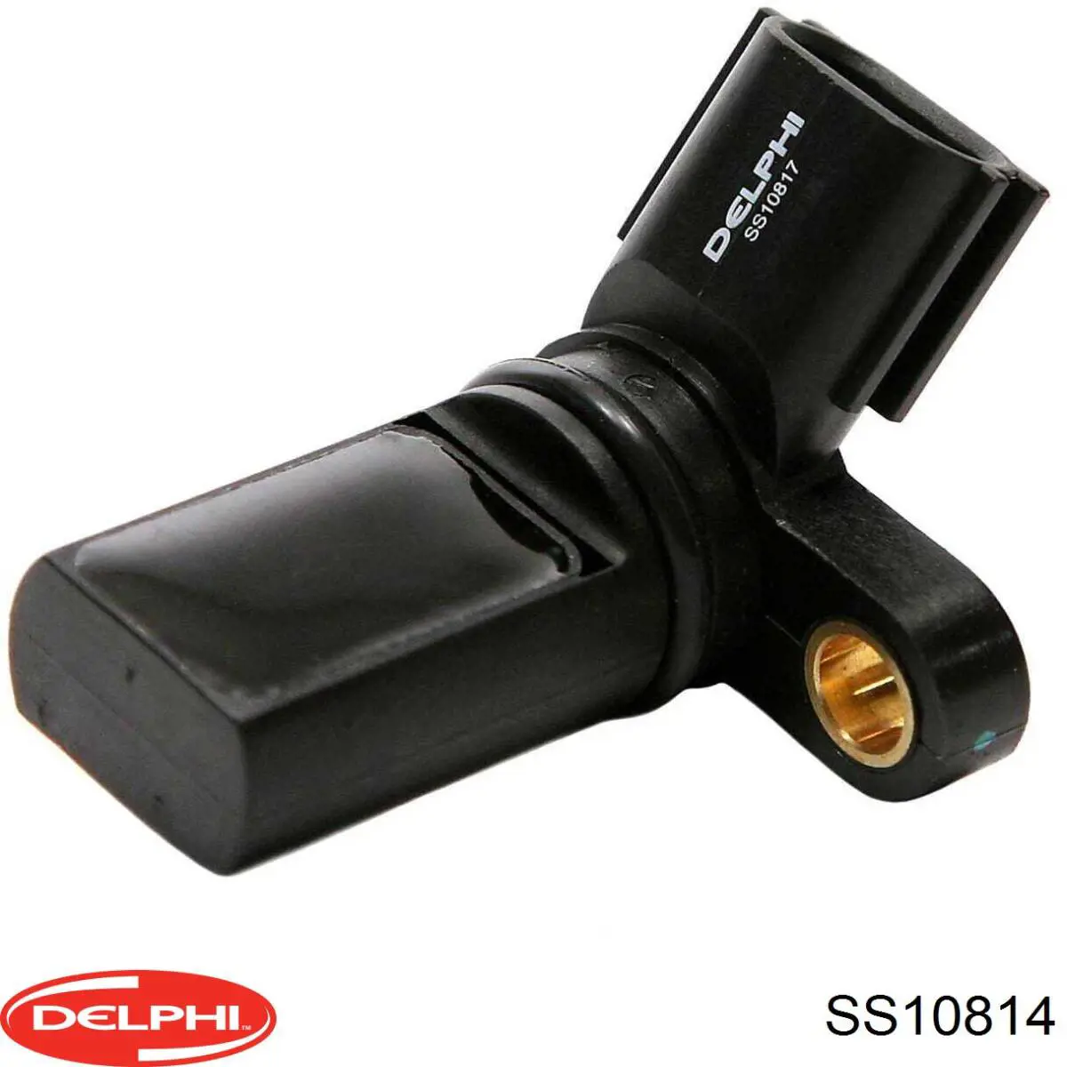 Купити SS10814 Delphi ДПРВ