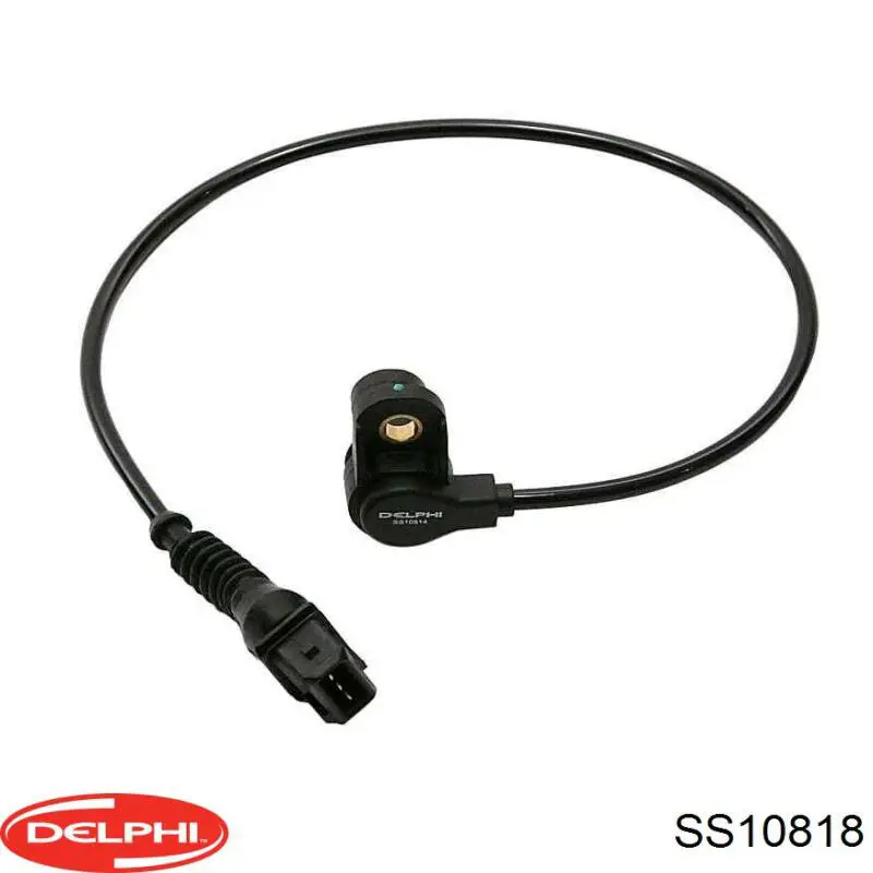 Купити SS10818 Delphi ДПРВ