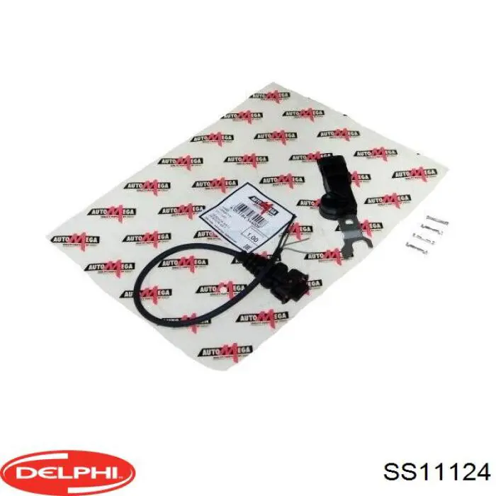 Купити SS11124 Delphi ДПРВ