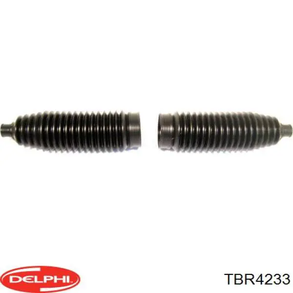 Купити TBR4233 Delphi Пильник тяги