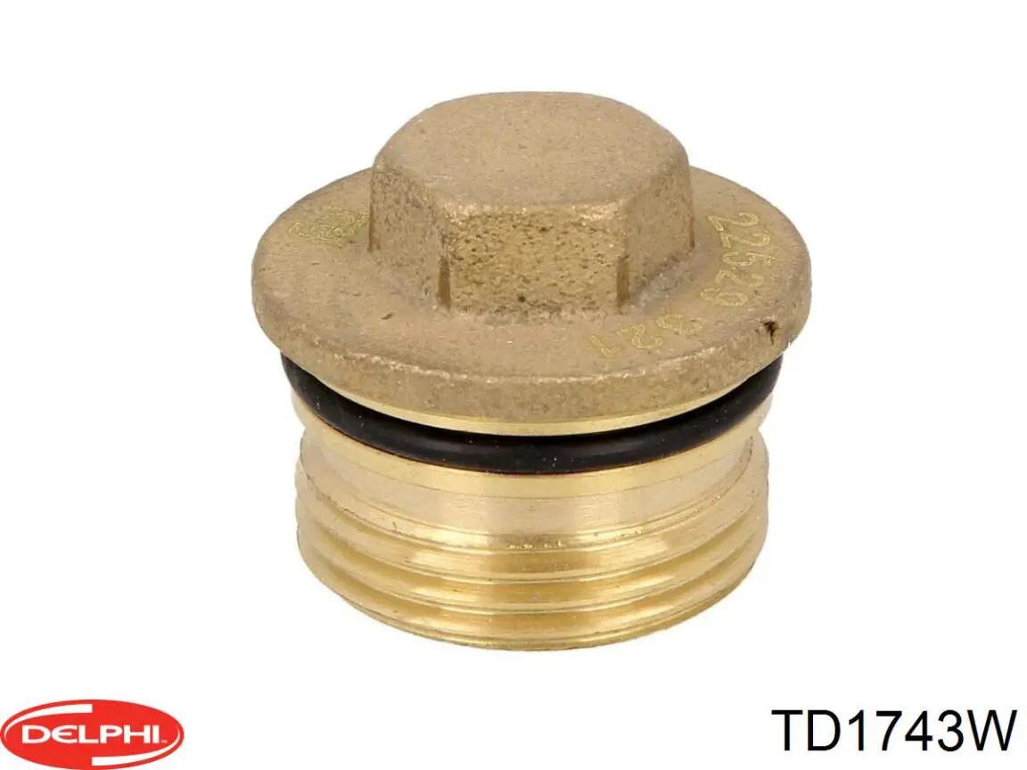 TD1743W Delphi Сайлентблок переднього нижнього важеля