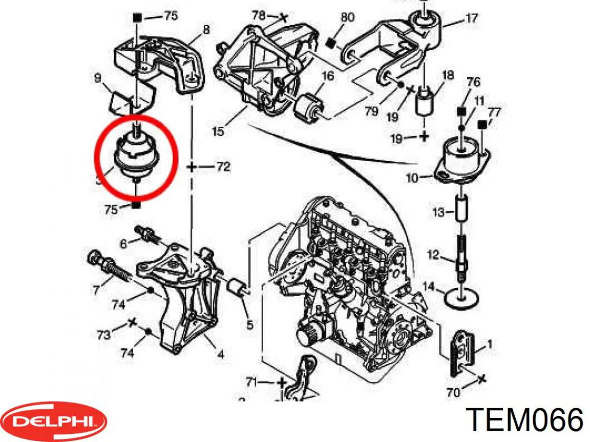 TEM066 Delphi подушка (опора двигуна, права)