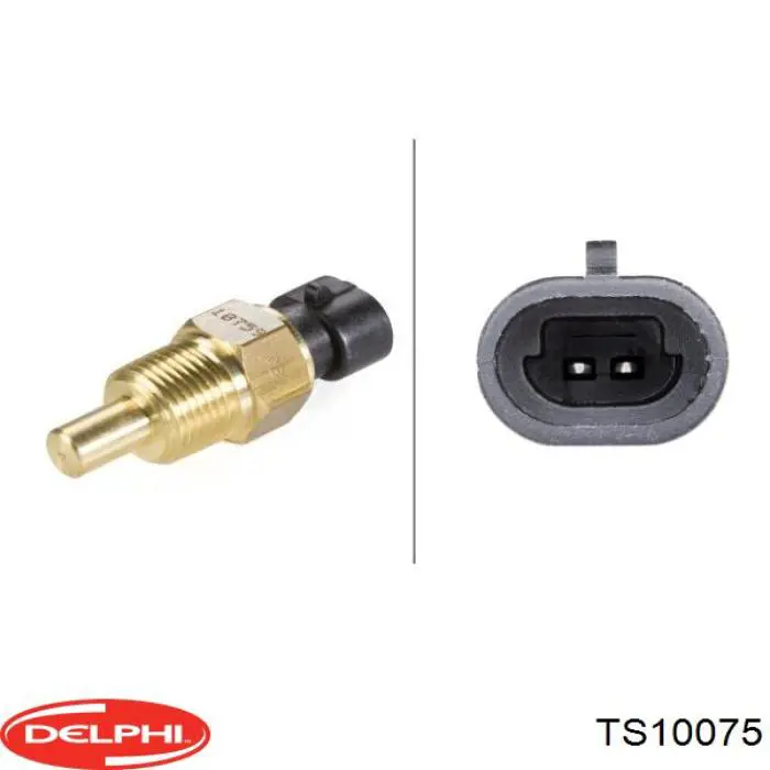 Датчик температури охолоджуючої рідини TS10075 Delphi