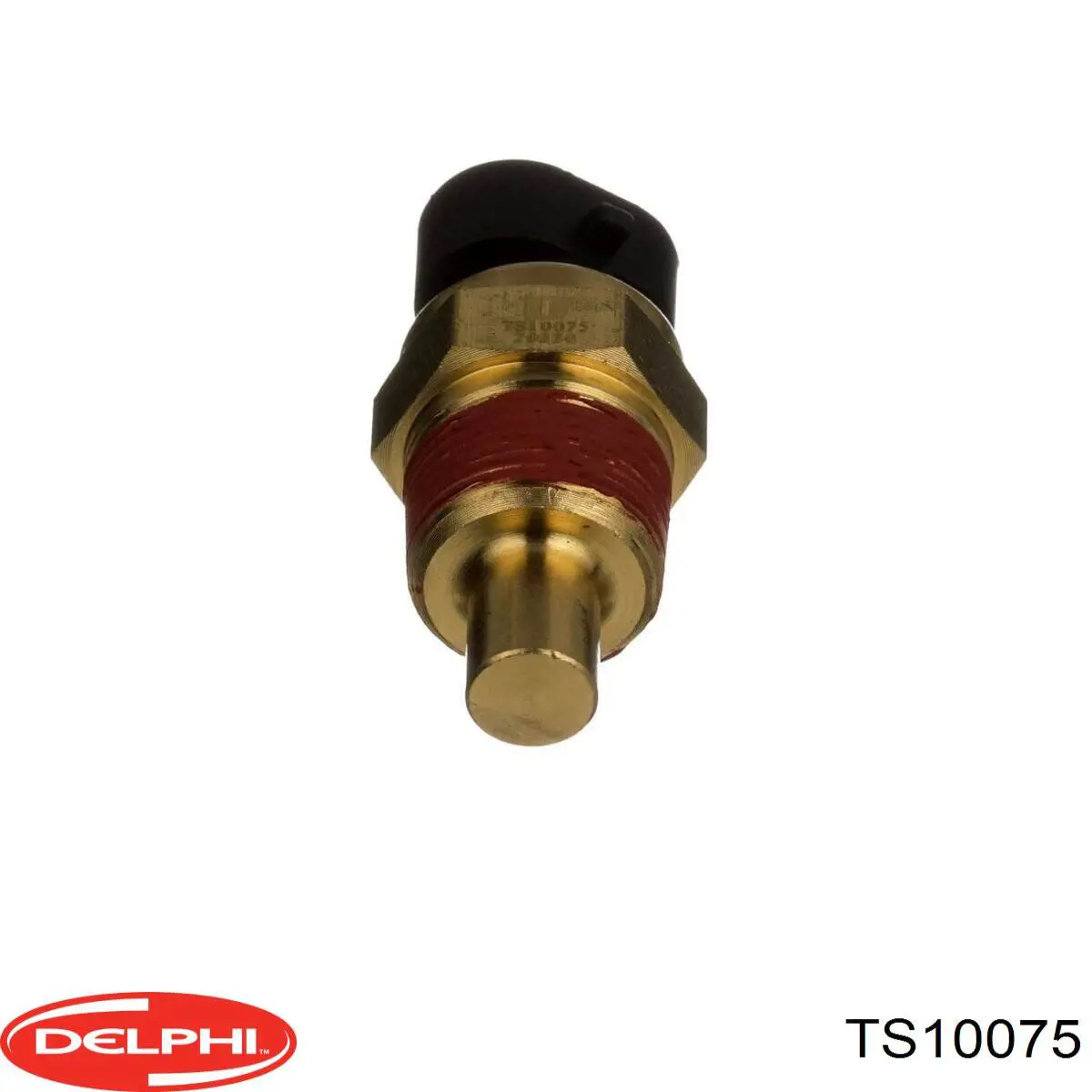 Купити TS10075 Delphi Датчик температури охолоджуючої рідини