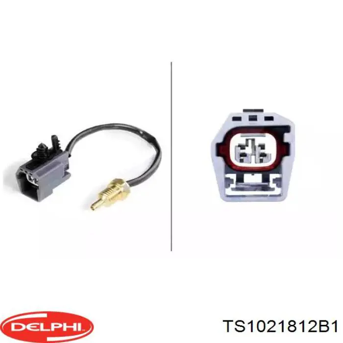 Датчик температури охолоджувальної рідини Delphi TS1021812B1