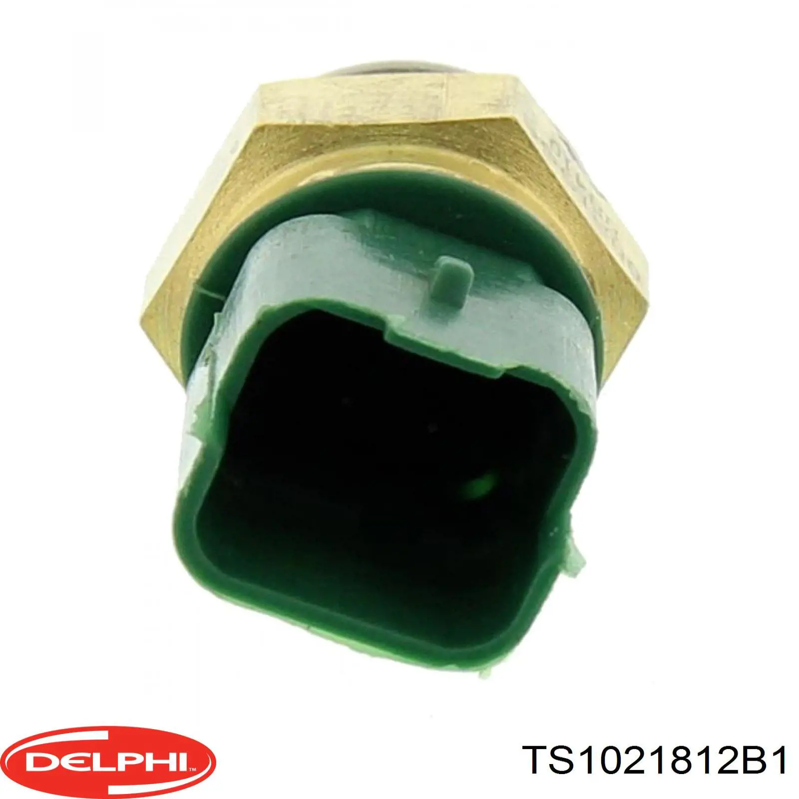 Термодатчик охолоджуючої рідини Delphi TS1021812B1 ціна, від 4.17 USD