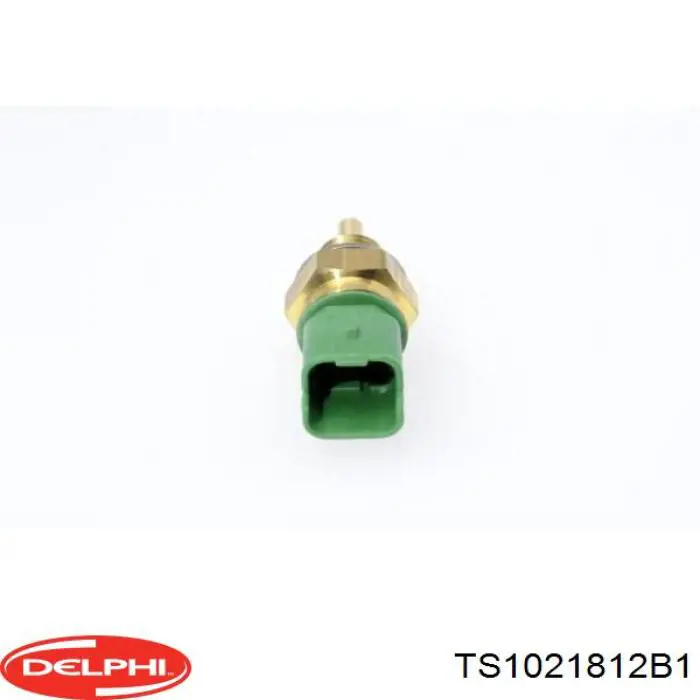Купити TS1021812B1 Delphi Датчик температури охолоджуючої рідини