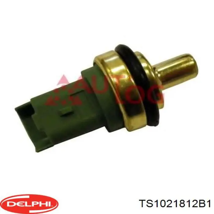 Купити TS1021812B1 Delphi Датчик температури охолоджуючої рідини