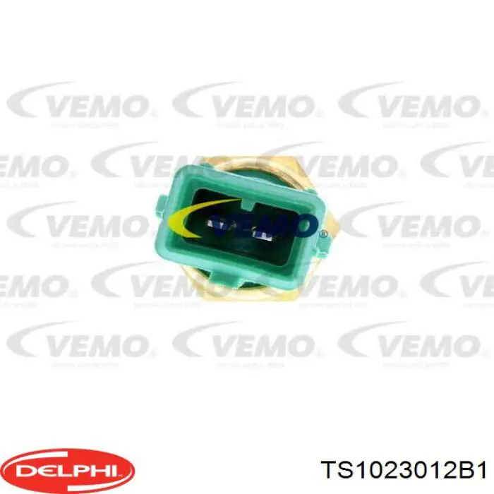 Термодатчик охолоджуючої рідини Delphi TS1023012B1 ціна, від 7.03 USD