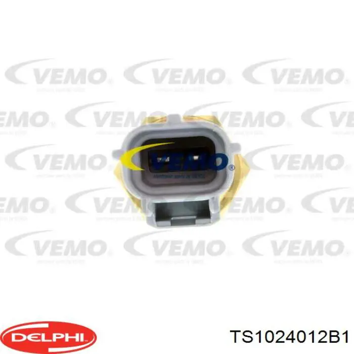 Термодатчик охолоджуючої рідини Delphi TS1024012B1 ціна, від 5.22 USD
