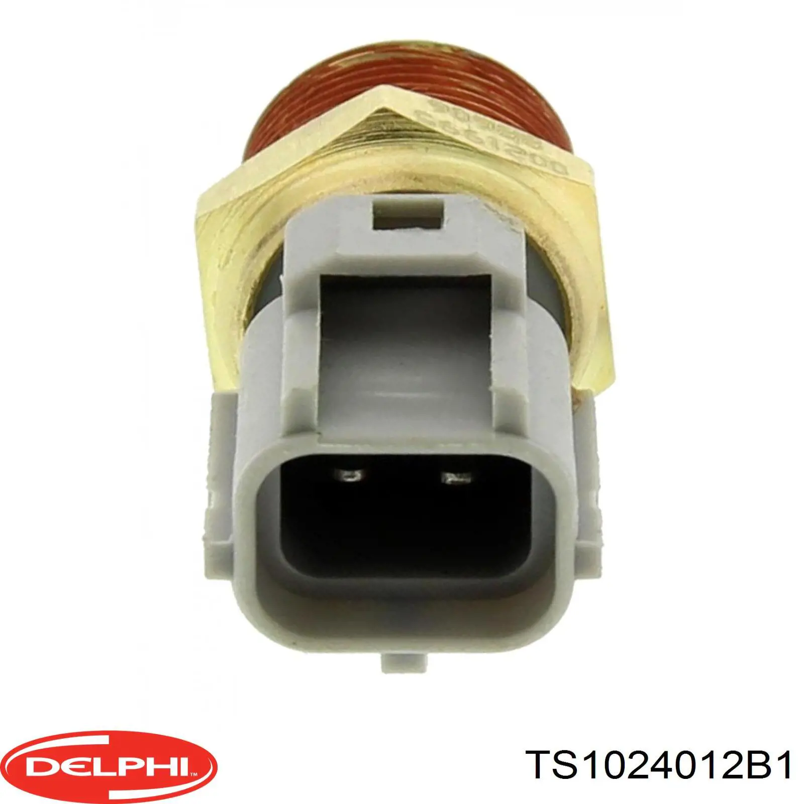 Купити TS1024012B1 Delphi Датчик температури охолоджуючої рідини