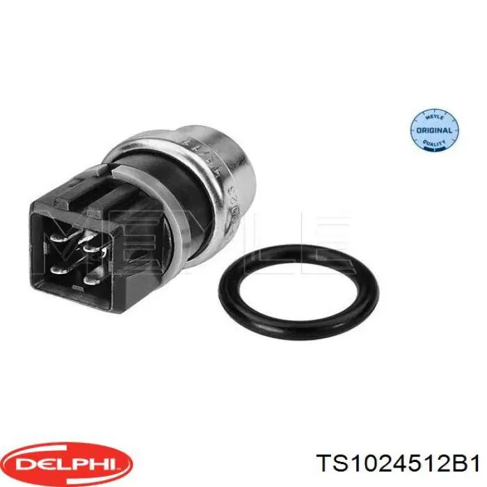 Купити TS1024512B1 Delphi Датчик температури охолоджуючої рідини