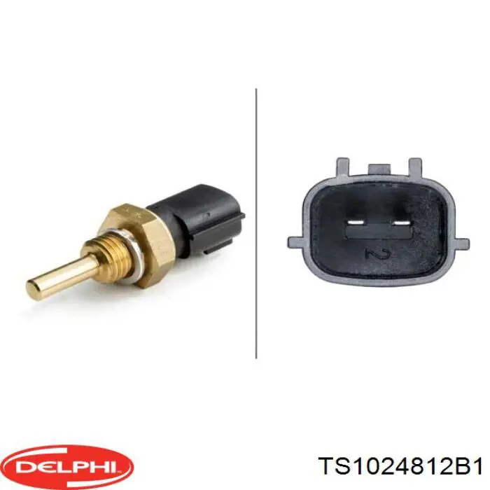 Термодатчик охолоджуючої рідини Delphi TS1024812B1 ціна, від 6.33 USD