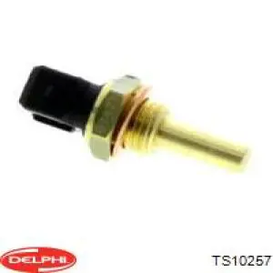 Термодатчик охолоджуючої рідини Delphi TS10257 ціна, від 6.63 USD
